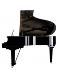 C3X (Polished Ebony), зображення 2